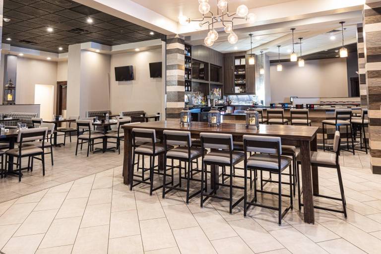 Holiday Inn Airport West Earth City By IHG — photo 5