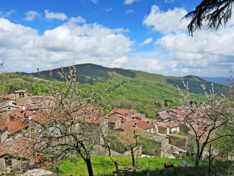 foto46