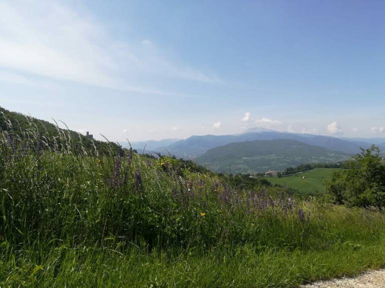 foto16