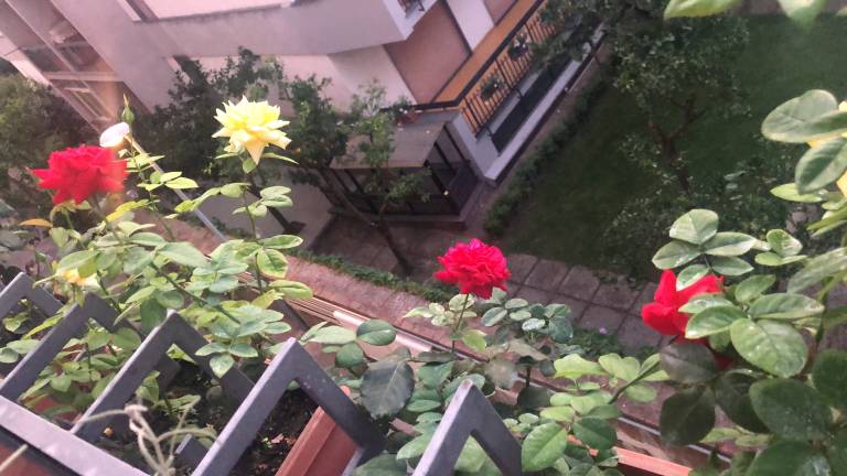 foto20