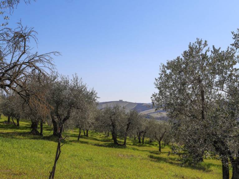 foto15