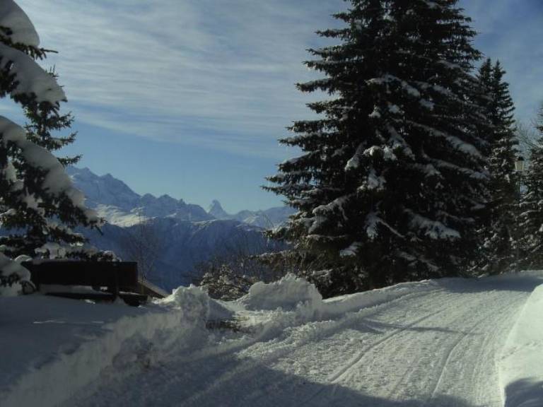 Ferienwohnung Riederalp