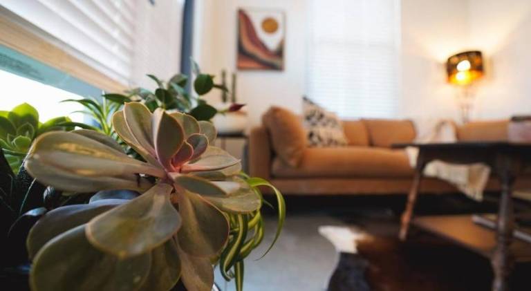 Lovely apartment | Pets are welcome in Lawrence, KS
