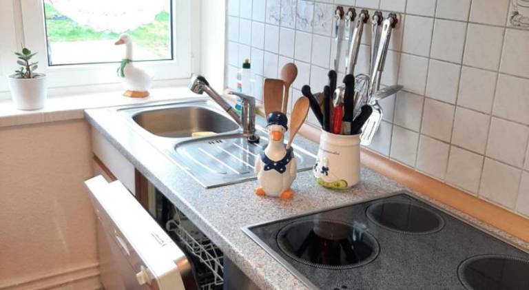 Holiday apartment | Pets are welcome — photo 4