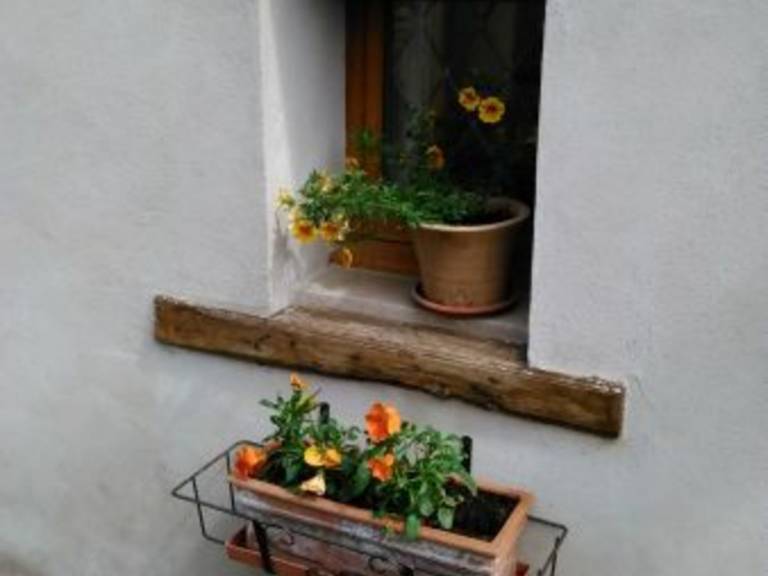 Renovated Cobbler's Cottage with Terrace - Cozy Village Retreat near Nancy — photo 3