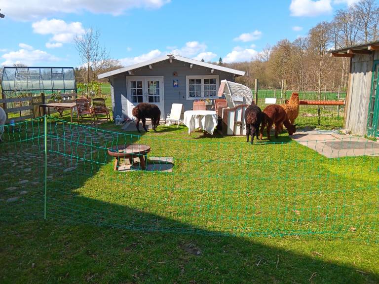 Hütte Hammoor