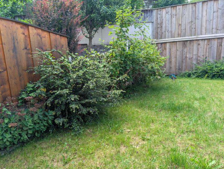Child-friendly holiday apartment with yard & terrace | Garden view | Pets are welcome — photo 5