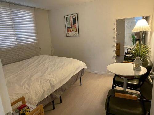 foto11