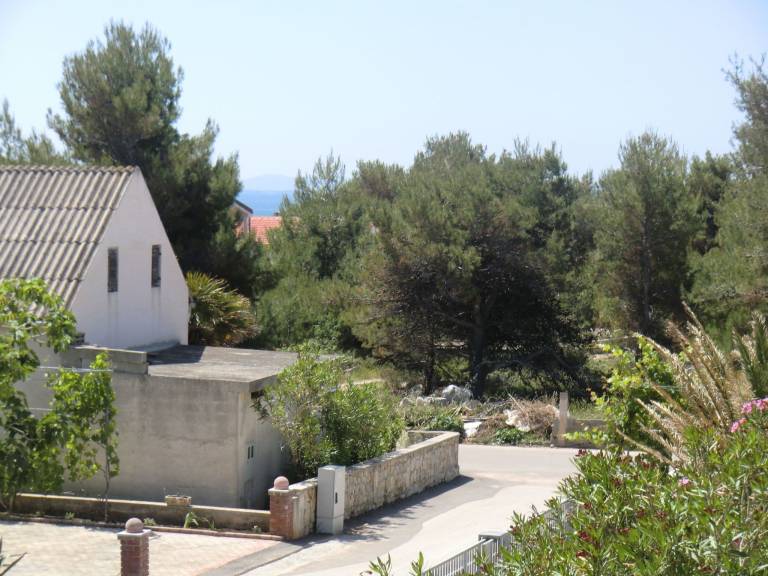 Apartment Vir