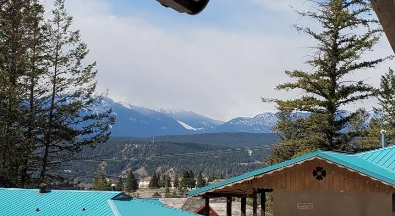 Celadon Lodge — photo 3