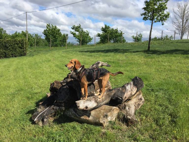 foto21