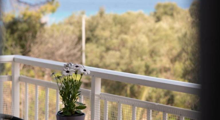 Fully equipped pleasant apartment with yard & terrace | Next to the beach | Pets are welcome — photo 4