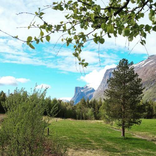 Holiday park  Bergmo