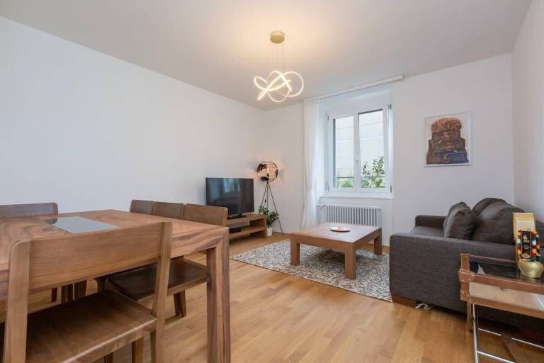 Apartment Wiedikon