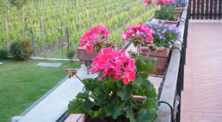 foto33