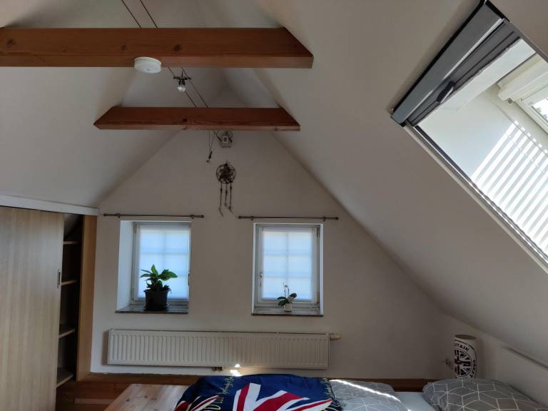 foto26