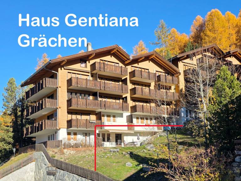 Appartement Grächen