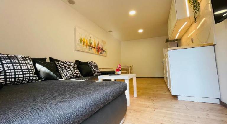 Apartment with 1 room for 3 persons — photo 2