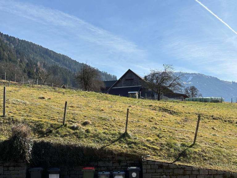 foto2