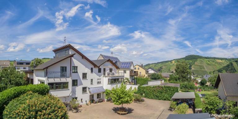 Gästehaus Weingut-Destillerie Herbert Zisch — photo 3