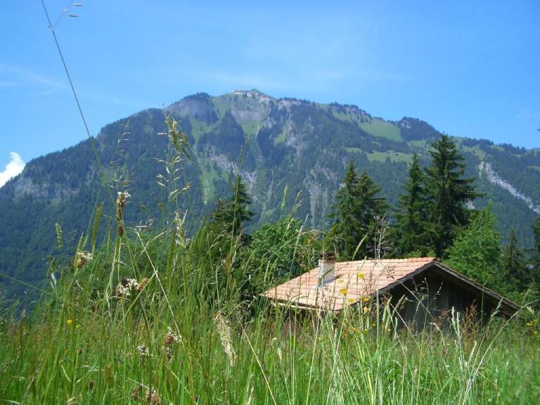 foto2