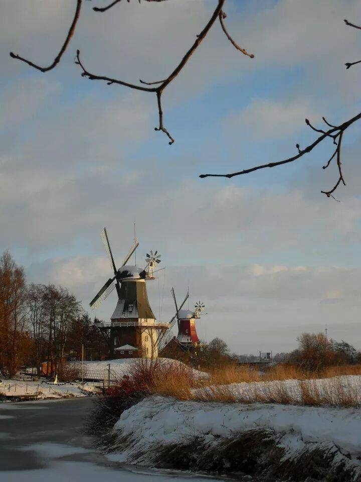 foto39