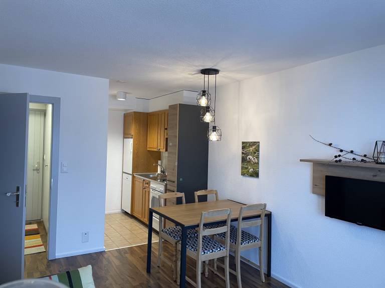 Fontanettaz V 014 - MOUNTAIN apartment 4 pers — photo 4