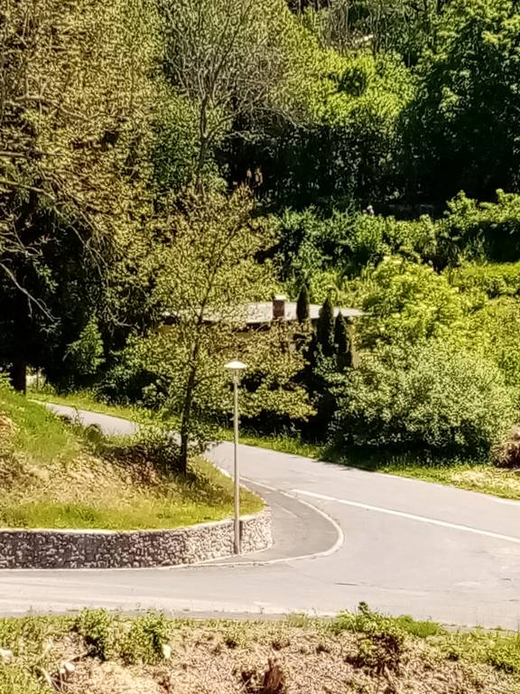 foto10
