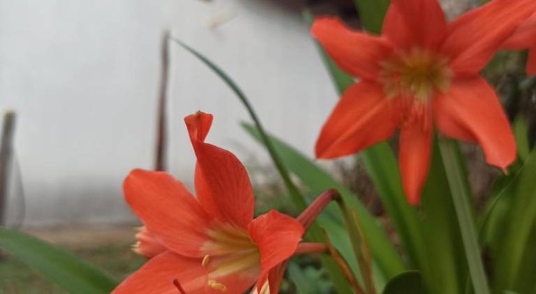 foto33