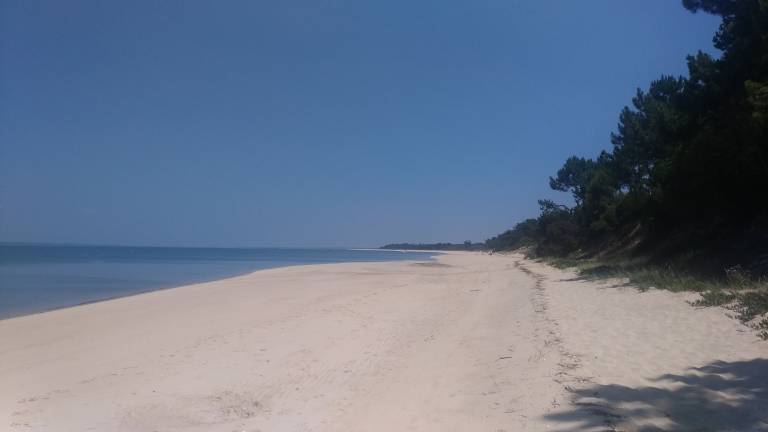 Condominio Comporta