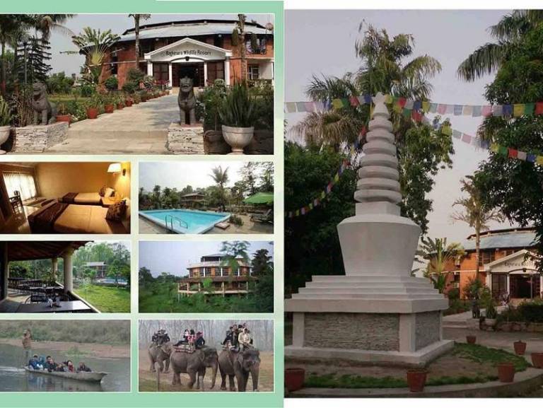 Resort Bachhauli