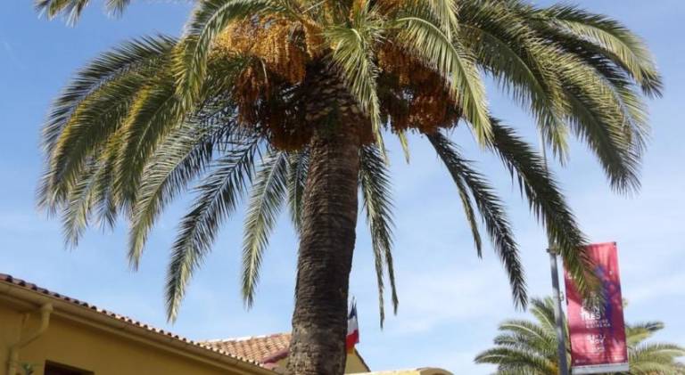 Vacation home with pool — photo 5