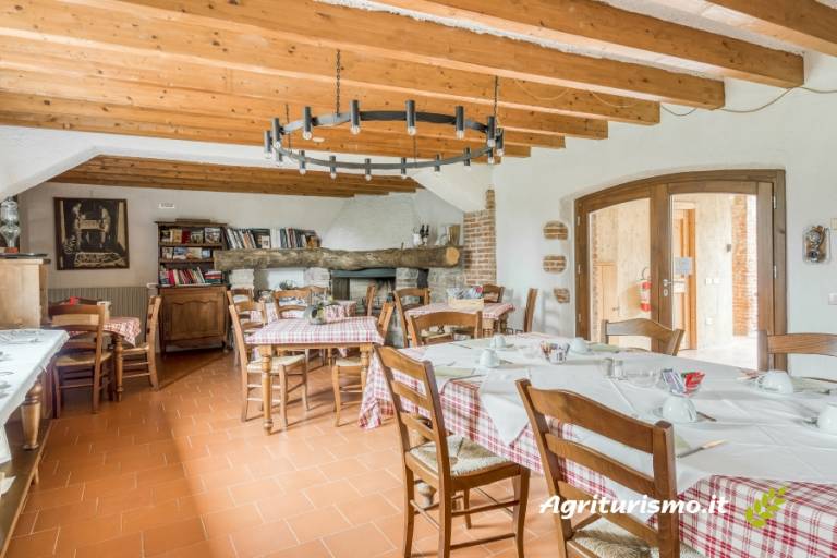 Borgo San Donino: ULIVO NOCCIOLO — photo 5
