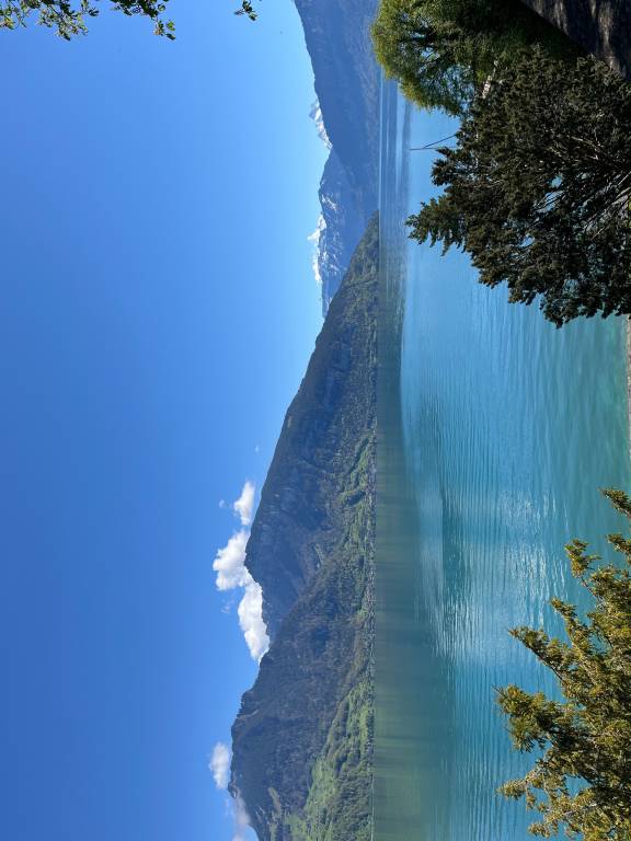 foto15