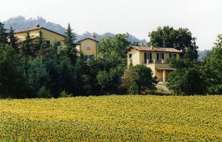 Fattoria del Cerretino: Torre Bassa — photo 3