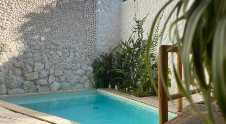 Casa Palmeira — photo 5