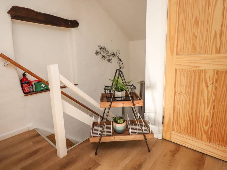foto11