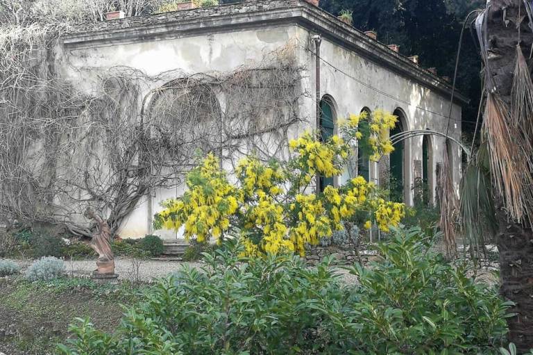 foto8