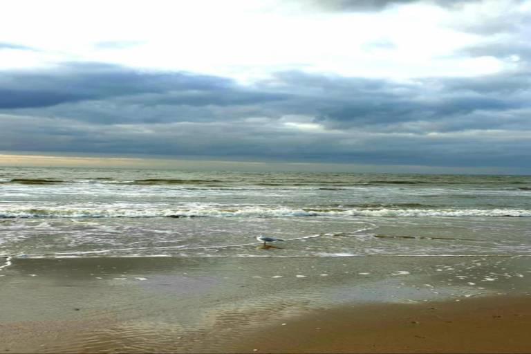 foto36