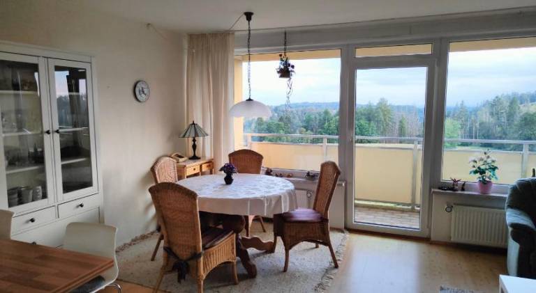 Apartment with pool & sauna | Pet-friendly — photo 4