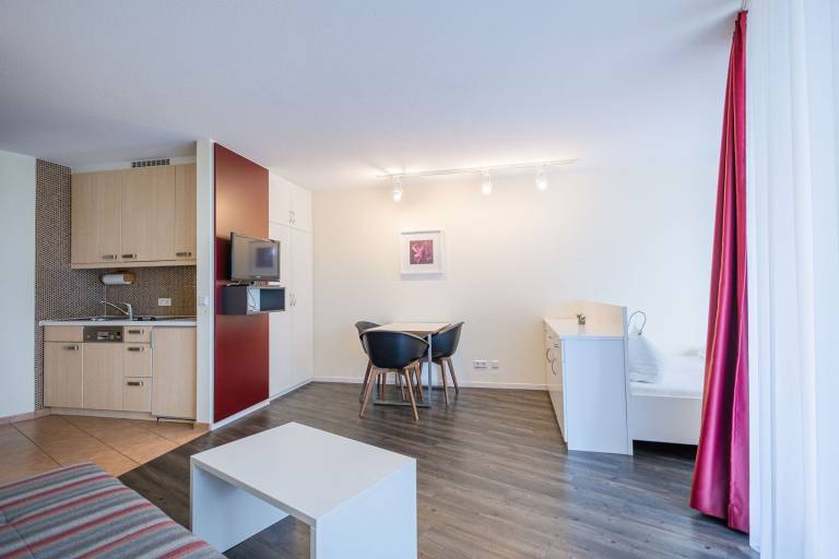 1-Room-Apartment (Type 2) — photo 2