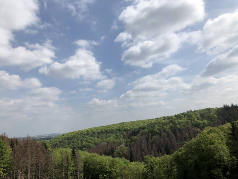 foto40