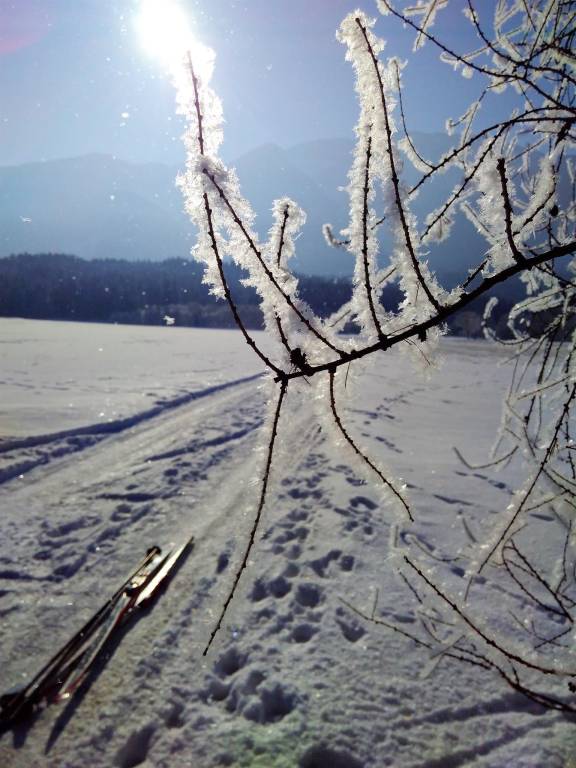 foto6