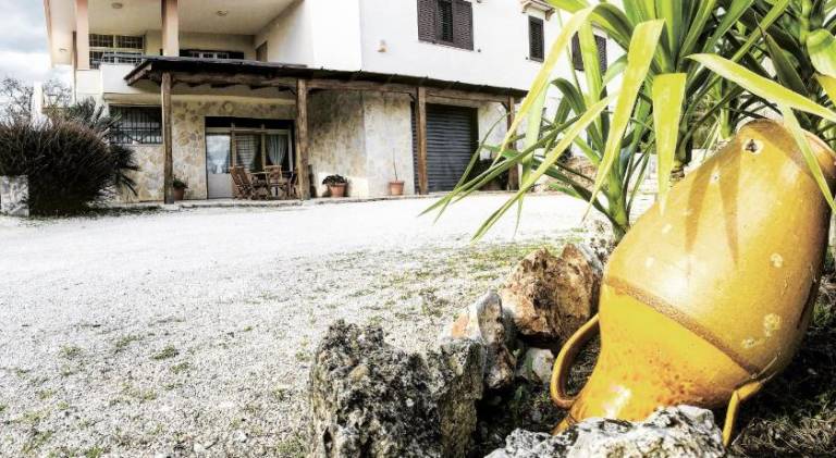 Beautiful rental apartment | Dogs allowed in Locorotondo