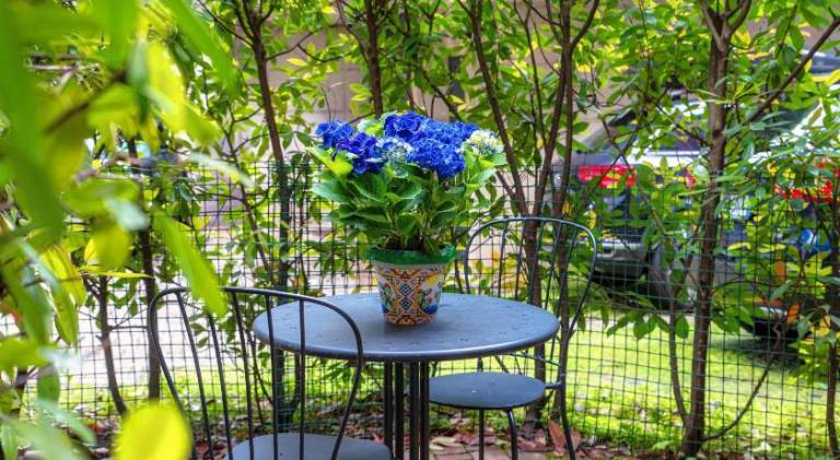 Nice holiday apartment | Near Como Cathedral | Pet-friendly — photo 2
