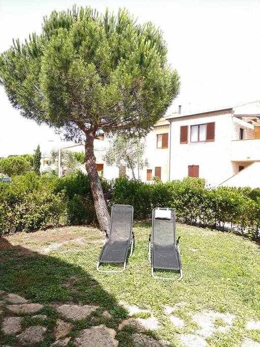 Rental apartment with yard & pool — photo 4