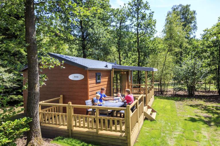 Bungalow Bosgebied Hoenderloo