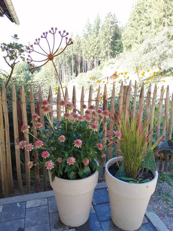foto23
