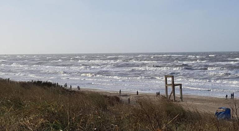 Near the Beach — photo 5