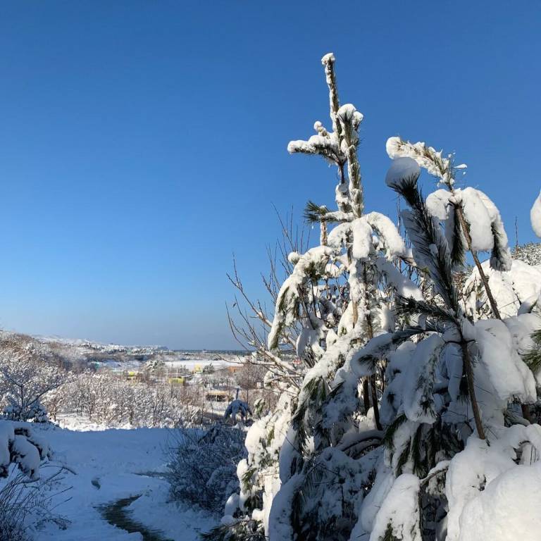 foto5